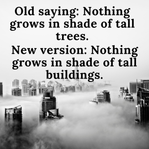 Investment vs the Spoils of Financial Speculation